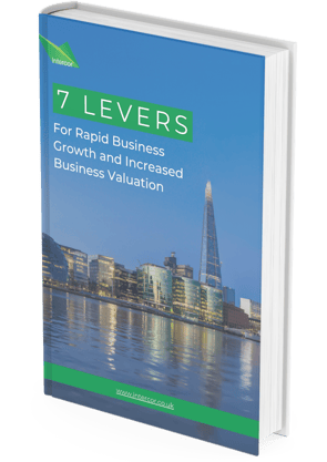 7 Levers For Rapid Business Growth and Value Creation (1)